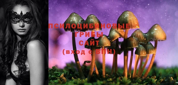 героин Михайлов